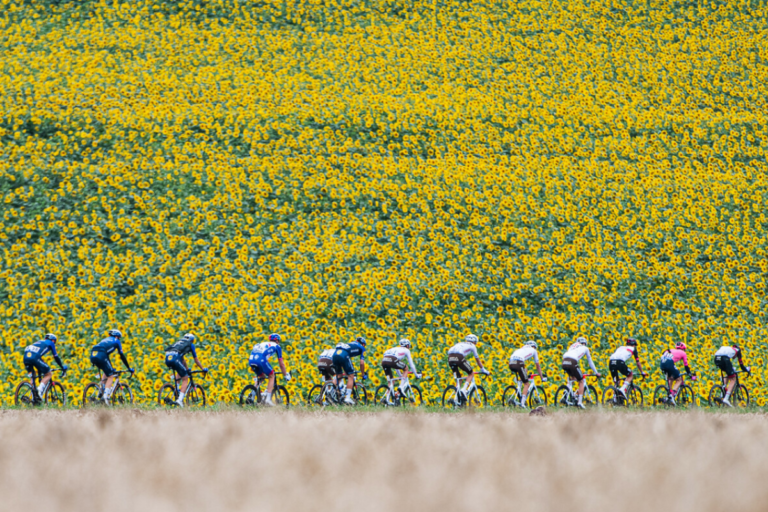 Tour de France voor beginners: hoe werkt de grootste wielerkoers ter