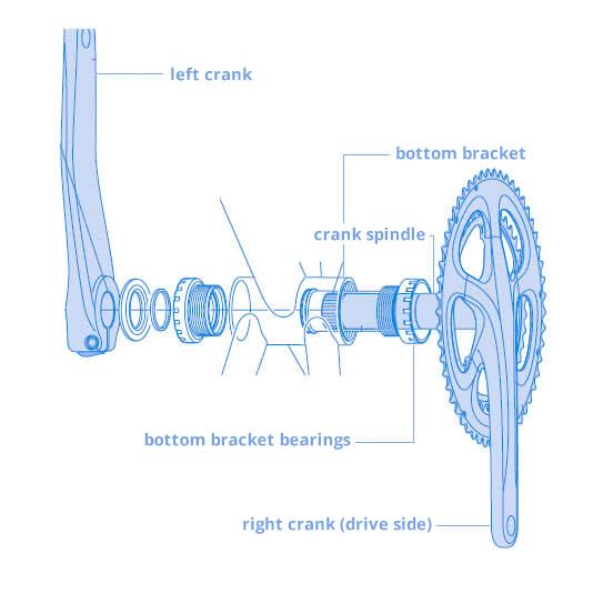 Overview of bottom bracket shell, bottom bracket bearings and crankarms.